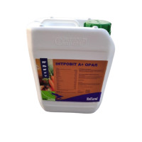 Вітамінно-амінокислотний комплекс Interchemie Інтровіт А+ Орал для орального застосування, 5 л Вітамінно-амінокислотний комплекс Interchemie Інтровіт А+ Орал для орального застосування, 5 л